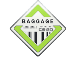 Baggage Pin