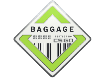 Baggage Pin