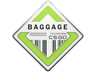 Baggage Pin