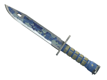 ★ Bayonet | Bright Water (Battle-Scarred)