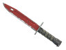 ★ Bayonet | Crimson Web (Field-Tested)