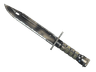★ Bayonet | Scorched (Well-Worn)