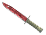 ★ Bayonet | Slaughter (Field-Tested)