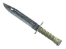 ★ Bayonet | Stained (Factory New)