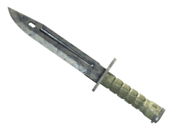★ Bayonet | Stained (Well-Worn)