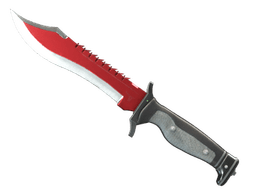 ★ Bowie Knife | Autotronic (Factory New)