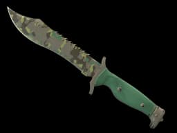 ★ Bowie Knife | Boreal Forest (Field-Tested)