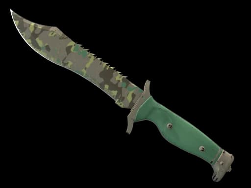 ★ Bowie Knife | Boreal Forest (Field-Tested)