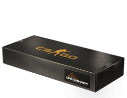 DreamHack 2013 Souvenir Package