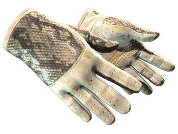★ Driver Gloves | King Snake (Well-Worn)