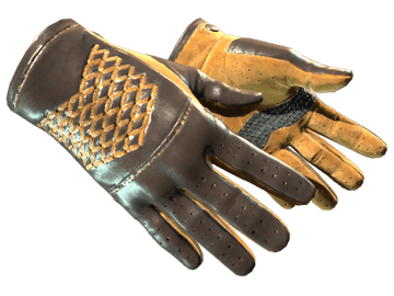 ★ Driver Gloves | Overtake (Factory New)