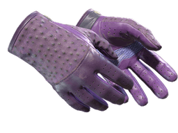 ★ Driver Gloves | Plum Quill (Well-Worn)