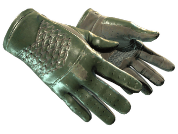 ★ Driver Gloves | Racing Green