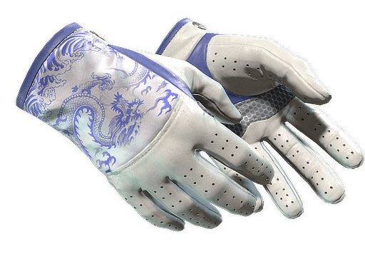 ★ Driver Gloves | Wave Chaser (Minimal Wear)