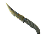 ★ Flip Knife | Case Hardened (Well-Worn)