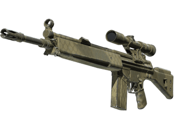 G3SG1 | Safari Mesh (Well-Worn)