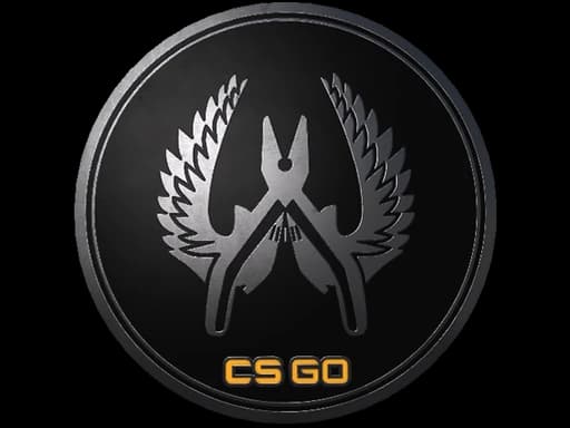 Guardian Elite Pin