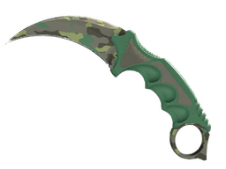 ★ Karambit | Boreal Forest (Factory New)