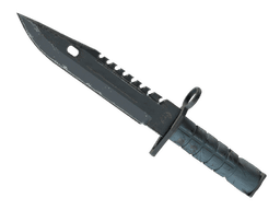 ★ M9 Bayonet | Night (Well-Worn)