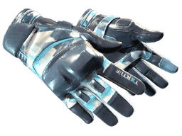 ★ Moto Gloves | Cool Mint (Factory New)