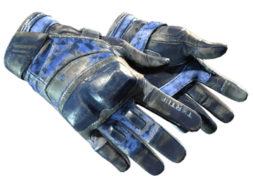 ★ Moto Gloves | Polygon