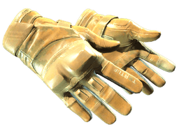 ★ Moto Gloves | Transport (Factory New)