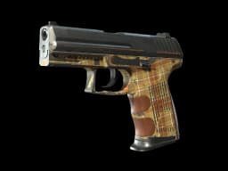 P2000 | Coach Class (Battle-Scarred)