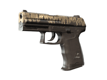 P2000 | Lifted Spirits (Well-Worn)