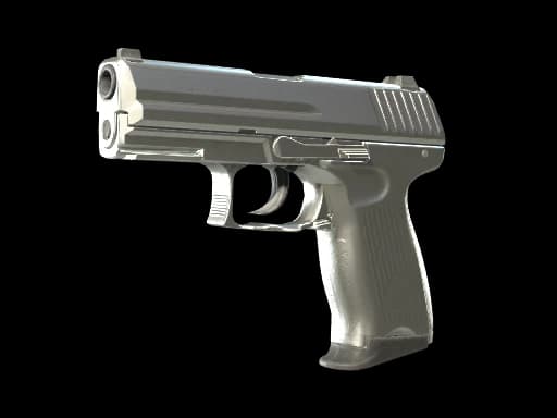 P2000 | Silver
