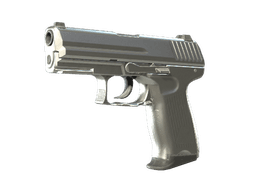 P2000 | Silver (Minimal Wear)