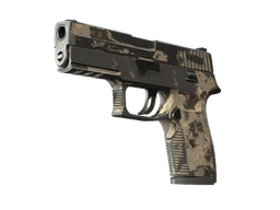 P250 | Black & Tan (Battle-Scarred)