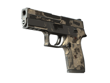P250 | Black & Tan (Battle-Scarred)
