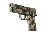 P250 | Black & Tan (Field-Tested)