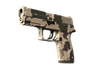 P250 | Black & Tan (Minimal Wear)