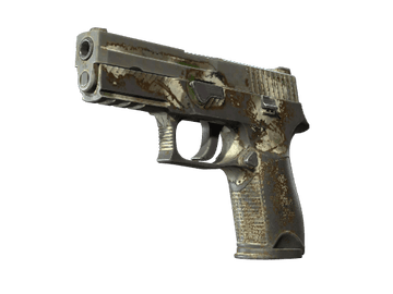P250 | Bone Mask (Battle-Scarred)