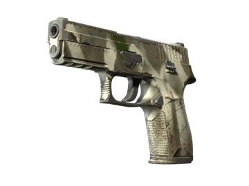 P250 | Bone Mask (Well-Worn)
