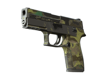 P250 | Boreal Forest (Battle-Scarred)