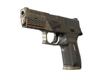 P250 | Bullfrog (Well-Worn)