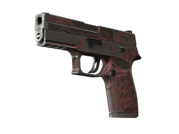 P250 | Contaminant (Battle-Scarred)