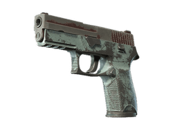 P250 | Copper Oxide (Battle-Scarred)