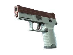 P250 | Copper Oxide (Minimal Wear)