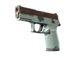 P250 | Copper Oxide (Well-Worn)