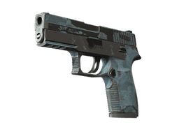 P250 | Forest Night (Battle-Scarred)