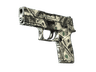 P250 | Franklin (Well-Worn)