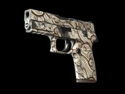 P250 | Gunsmoke (Field-Tested)