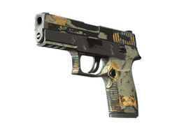 P250 | Modern Hunter (Battle-Scarred)