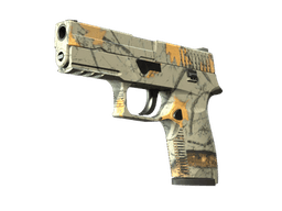 P250 | Modern Hunter (Factory New)