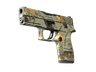P250 | Modern Hunter (Field-Tested)