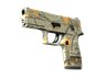 P250 | Modern Hunter (Minimal Wear)