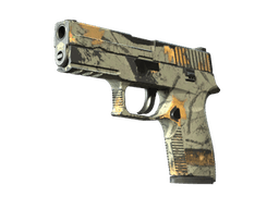 P250 | Modern Hunter (Well-Worn)